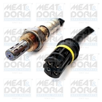 Oxygen Sensor